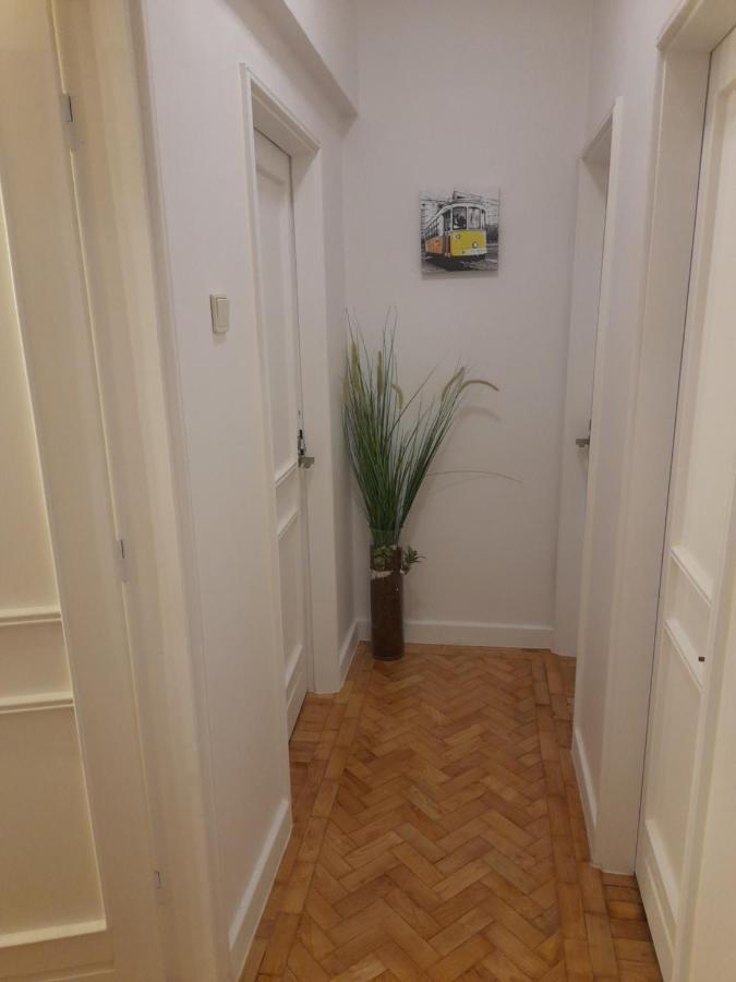 Cozy Central 3 Bedrooms Bragas OOporto Exteriör bild